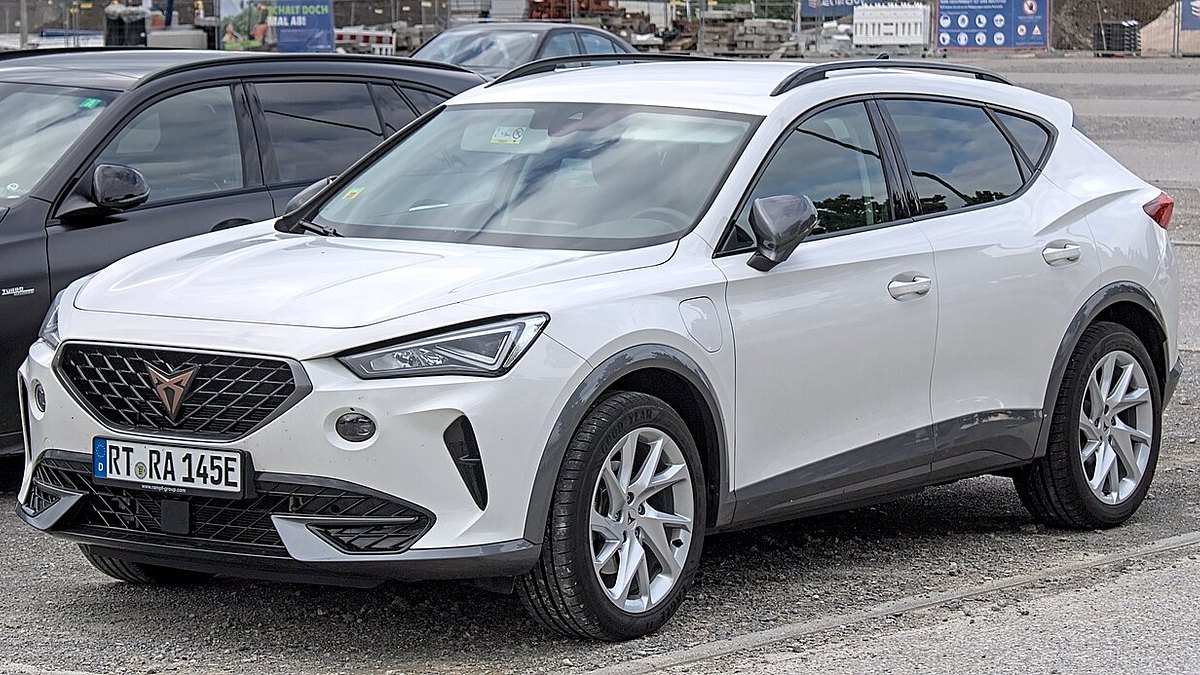 Cupra / Seat Formentor & Seat Leon Akü Takviye Cihazı